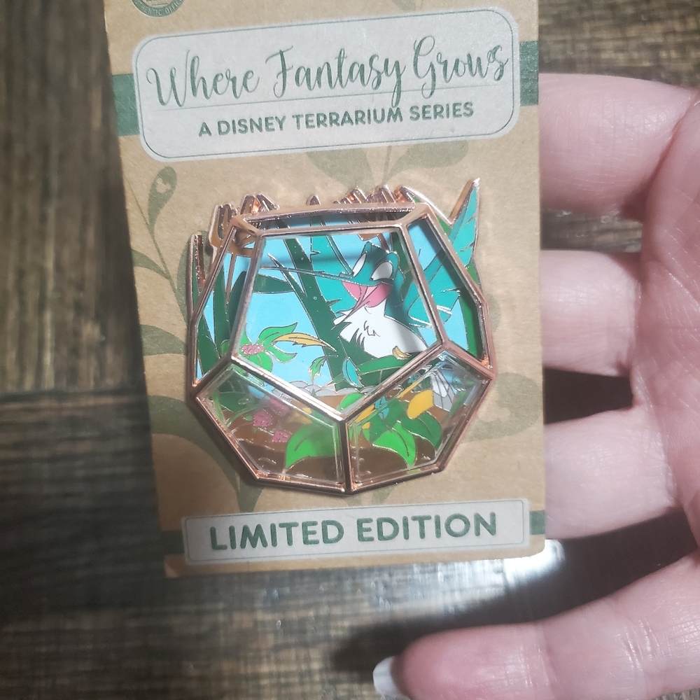 Disney terrarium pin